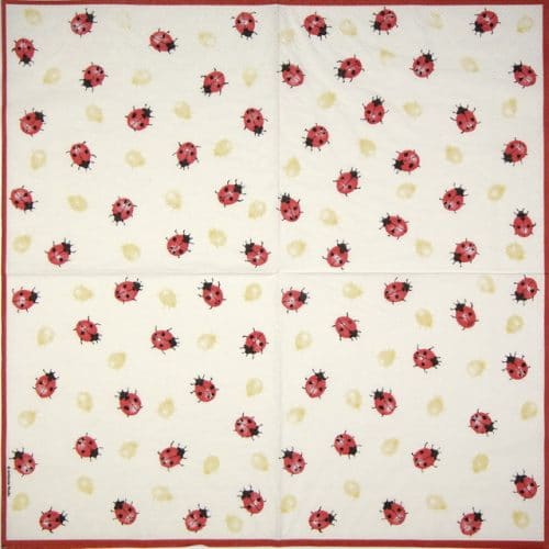 Ambiente_Ladybirds-creme_13304325