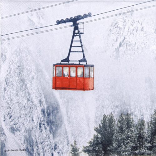 Lunch Napkins (20) - Ski Gondola