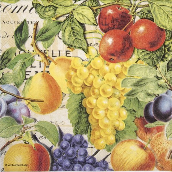 Cocktail Napkins (20) - Autumn Fruits