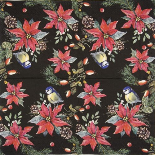 Ambiente_bird-on-poinsettia-black_33314642