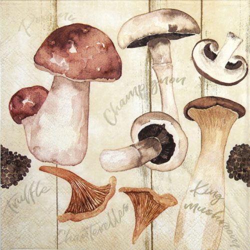 Paper Napkin - Champignon