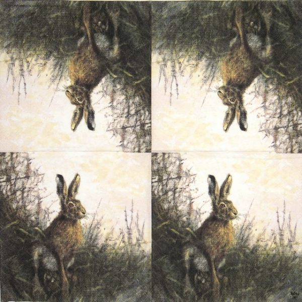 Lunch Napkins (20) - Portrait of Hare - Image 2