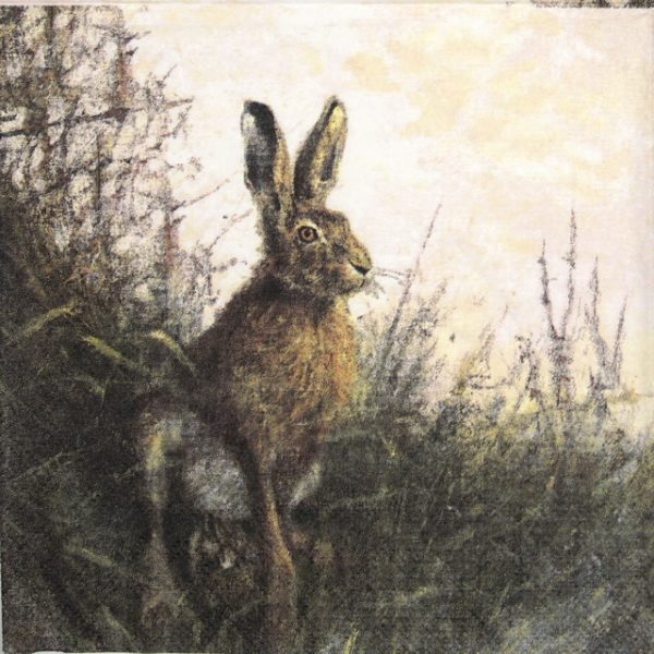 Lunch Napkins (20) - Portrait of Hare