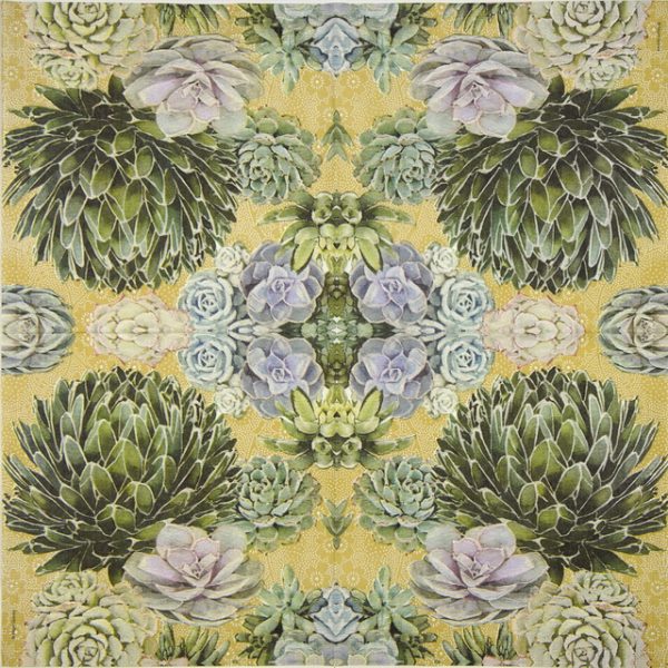 Paper Napkin - Nigel Quiney: Succulents