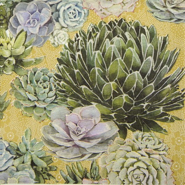 Paper Napkin - Nigel Quiney: Succulents