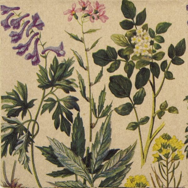 Paper Napkin - Botanical pattern