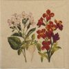 Lunch Napkins (20) - Botanical