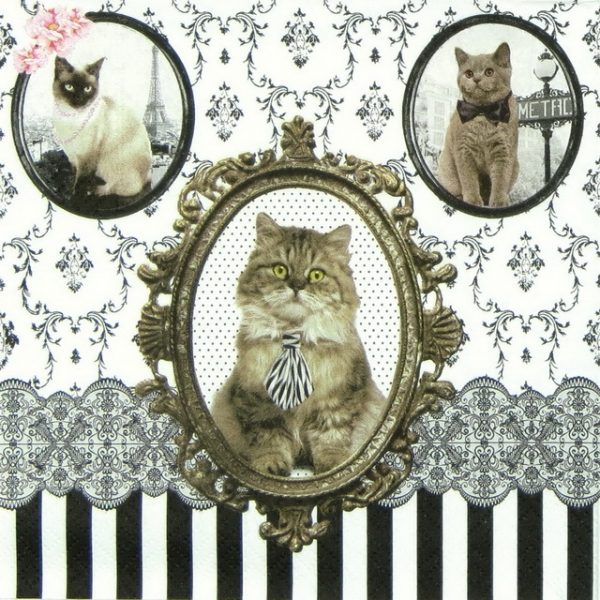 Lunch Napkins (20) - Barocco Cats
