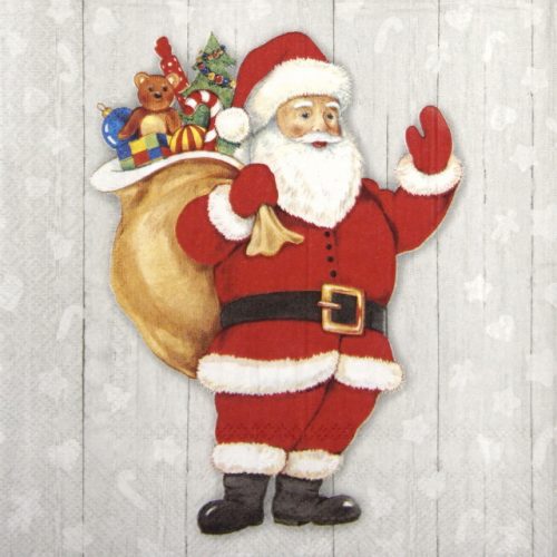 Lunch Napkins (20) - Whimsical "Santa"