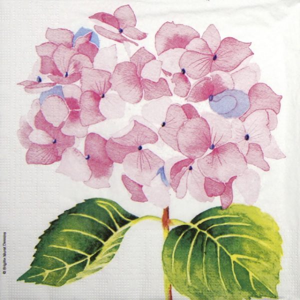 Paper Napkin - Brigitte Murat: Hydrangea  rosé