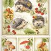 Rice Paper - Autumn Hedgehog
