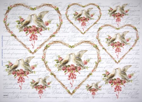 Rice Paper - Pigeons in love