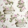 Lunch Napkins (20) - Peony flower boxes