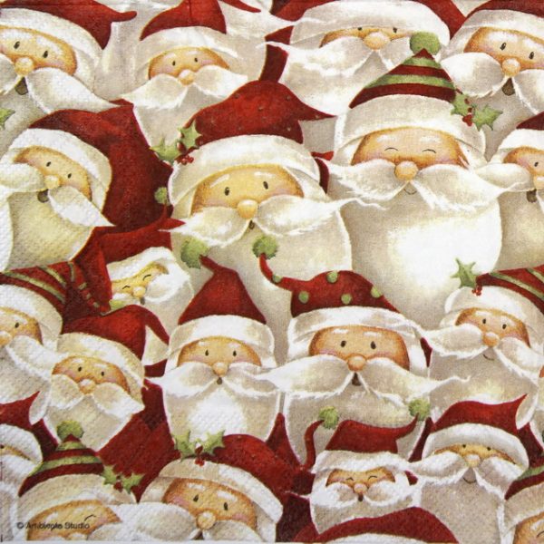 Lunch Napkins (20) -  Funny Santa