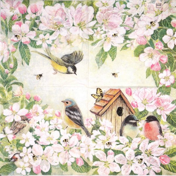 Lunch Napkins (20) - Birds and blossom - Image 2