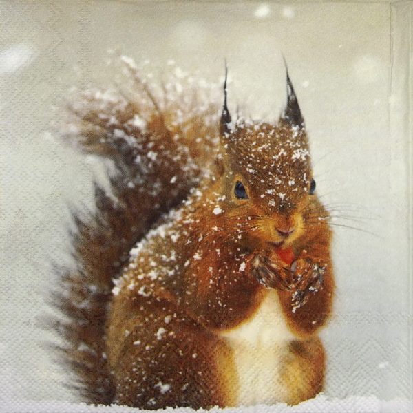 Paper Napkin -  Winter Squirrel