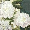 Paper Napkin - Dewed White Peonies