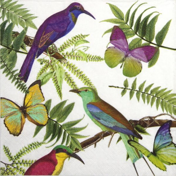 Lunch Napkins (20) - Tropical Birds