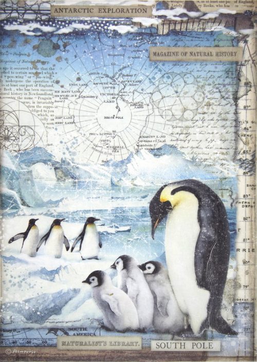 Rice Paper - Penguins - DFSA4479 - Stamperia