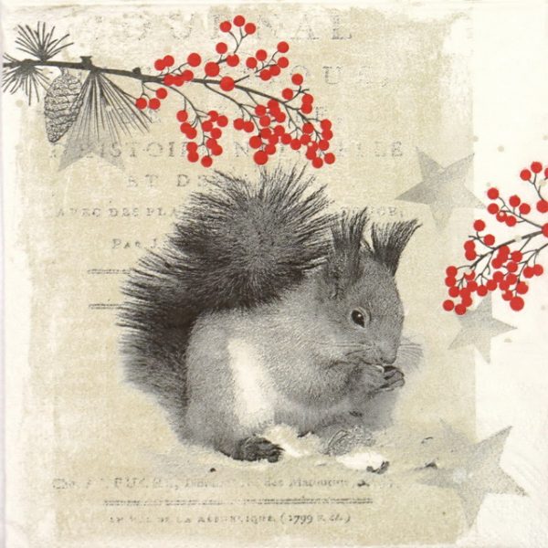 Paper Napkin - Star Squirrel