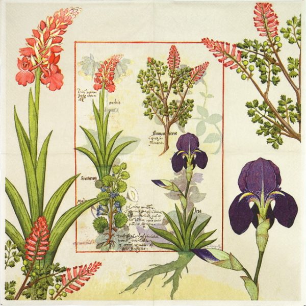 Lunch Napkins (20) - Orchid and Fumitory