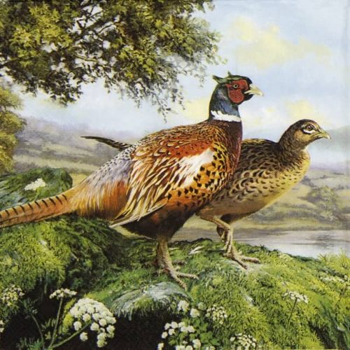 Lunch Napkins (20) - Pheasant