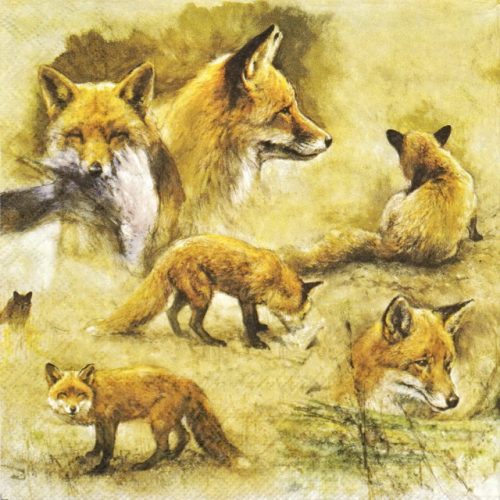 Paper Napkin - Portraits of Foxes