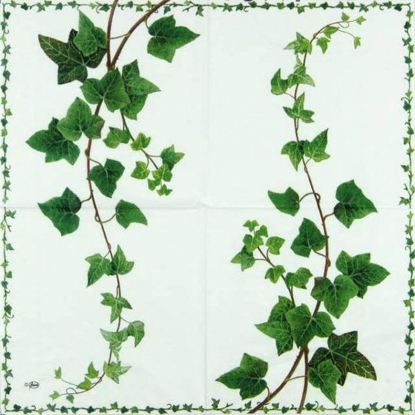 Paper Napkin - Ivy Tendril