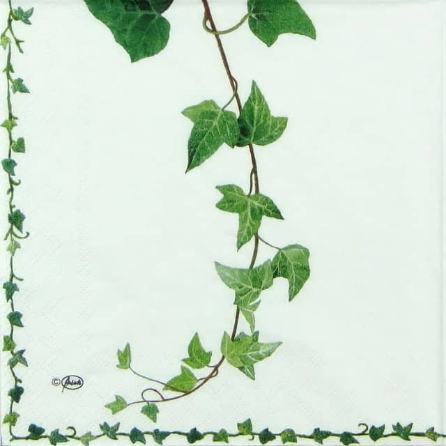 Paper Napkin - Ivy Tendril
