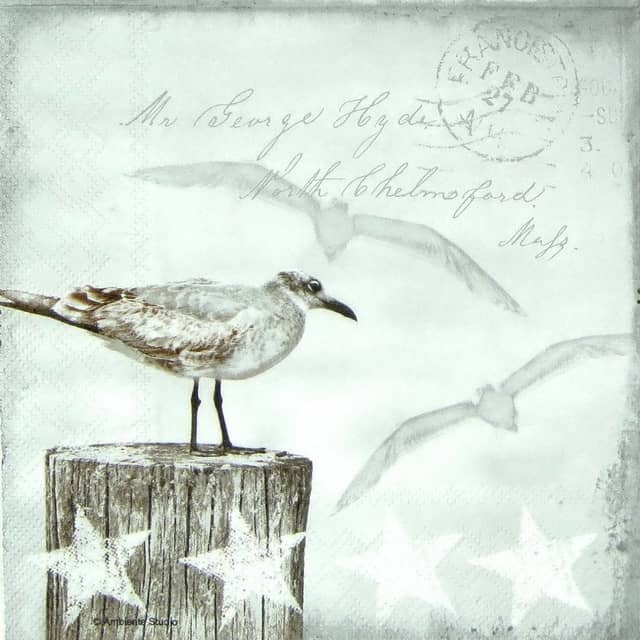 Lunch Napkins (20) - Seagulls