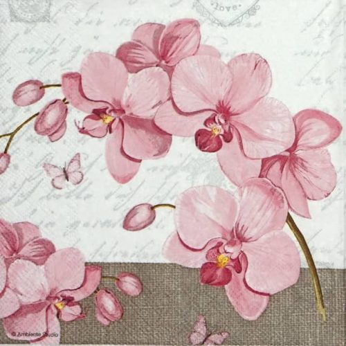 Lunch Napkins (20) - Orchids & Love