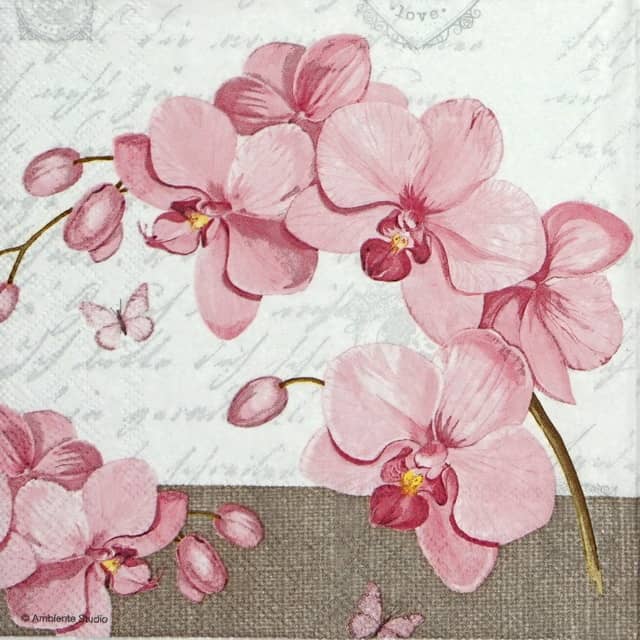 Lunch Napkins (20) - Orchids & Love