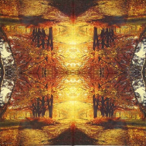 Lunch Napkins (20) - Autumn Park - Image 2