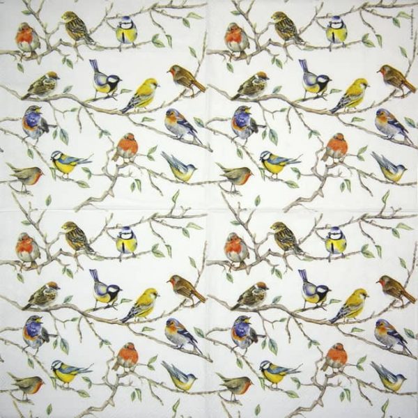 Cocktail Napkins (20) - Birds Meeting