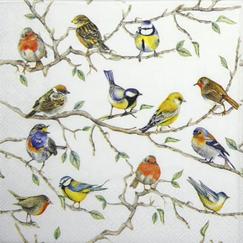 Paper Napkin - Birds Meeting