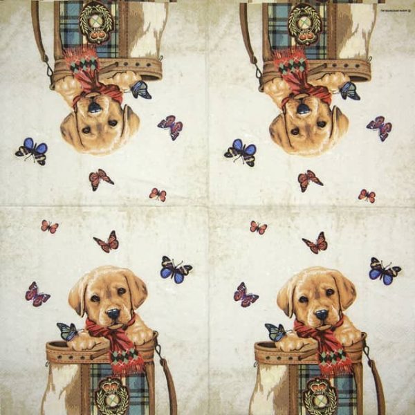 Lunch Napkins (20) - Buddy - Image 2