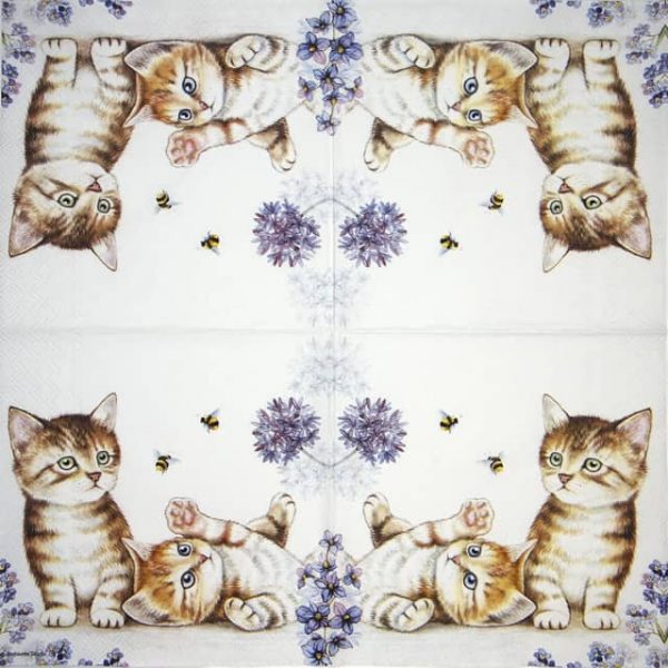 Cocktail Napkin - Cats and Bees
