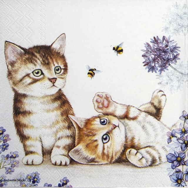 Cocktail Napkins (20) - Cats and Bees