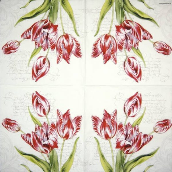 Lunch Napkins (20) - Classic Tulips