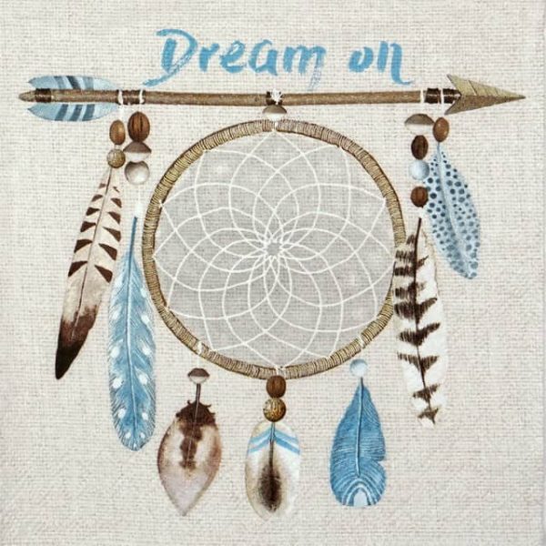 Lunch Napkins (20) - Dream On