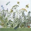Lunch Napkins (20) - Field Flowers