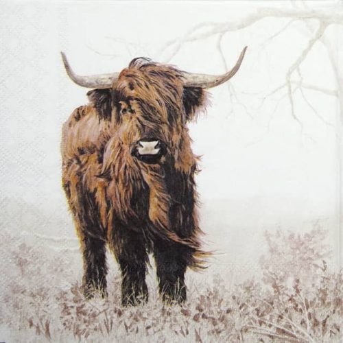 Single Decoupage Napkin - Highlander