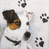 Paper Napkin - Jack Russel