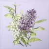 Lunch Napkins (20) - Lilac Lila