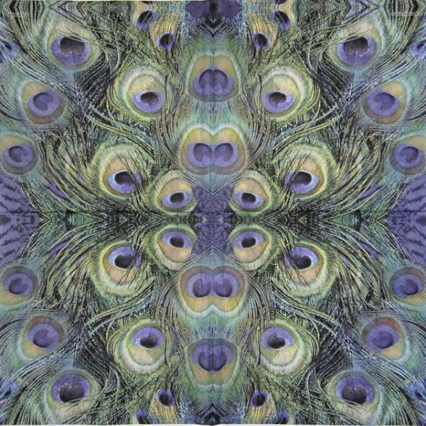 Lunch Napkins (20) - Peacock Feathers - Image 2