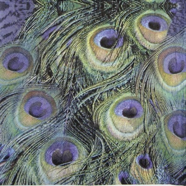 Paper Napkin - Peacock Feathers