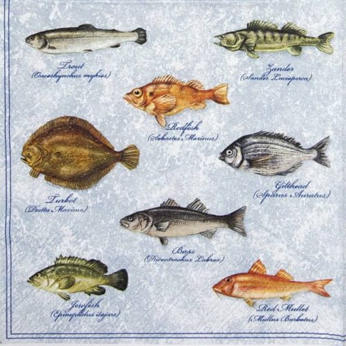 Paper Napkin - Fishes