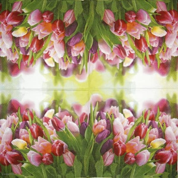 Paper Napkin - Glorious Tulips