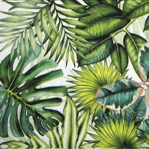 Cocktail Napkins (20) - Tropical Leaves White