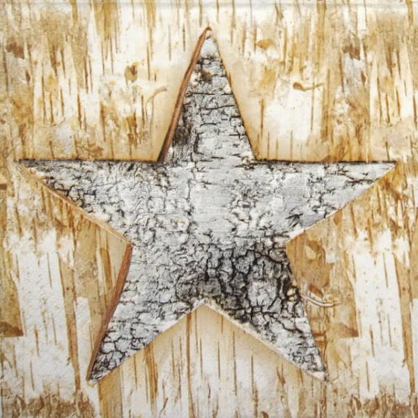 Paper Napkin - Wooden Eco Star